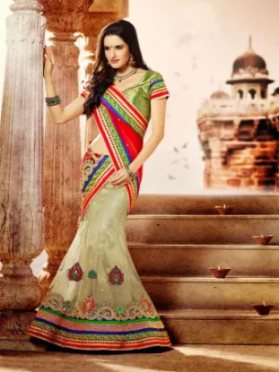 Picture of zari bridal lehenga,9rasa lehenga cholichaniya choli,ch