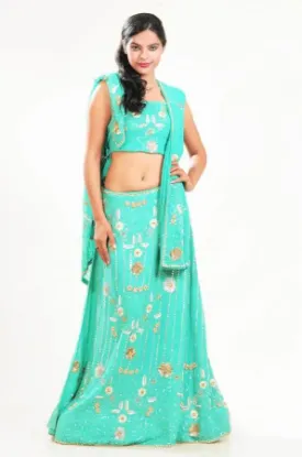 Picture of zeel clothing red velvet lehenga choli,ghagra choli leh