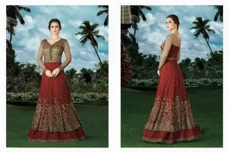 Picture for category net lehenga