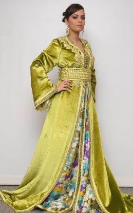 Picture of Multicolor Georgette Takshita Dress for Women - Style F9639