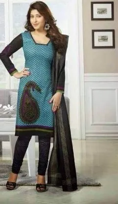 Picture of heavy embroidered net anarkali indian pakistani ethnic 