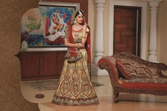 Picture of pakistani bridal lehenga choli designer lehenga indian 