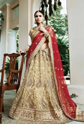 Picture of lehenga festival bollywood party wear dress pakistani s