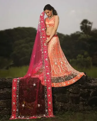Picture of indian pakistani wedding lehenga choli designer leheng,