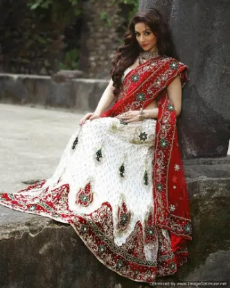 Picture of ethnic designer lehenga choli indian pakistani lehenga,