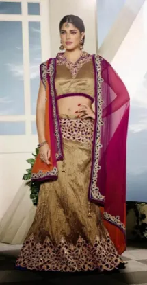 Picture of lehenga choli dress,lehenga housechaniya choli,choli,le