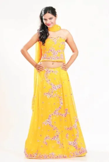 Picture of bollywood heroines lehenga,ghagra choli with long blous