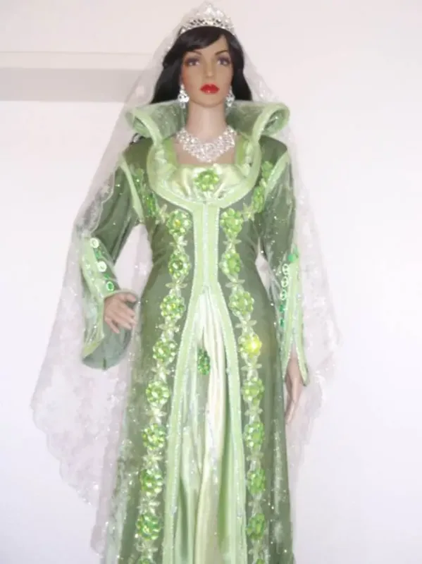 Picture of Purple Georgette Kaftan Dress for Women - Sequined Gathered Waist Style