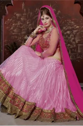 Picture of indian traditional pakistani bridal designer velvet le,