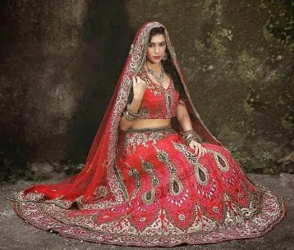 Picture of pakistani bridal wedding lehenga,velvet lehenga imagesc