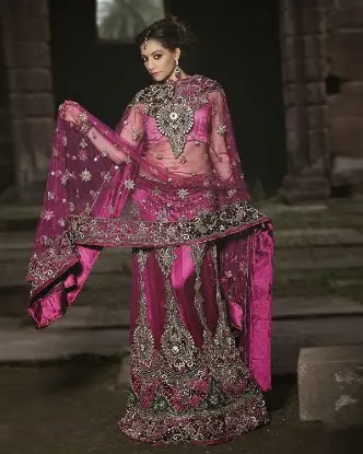 Picture of pakistani bridal lehenga 2024,velvet lehenga designscha