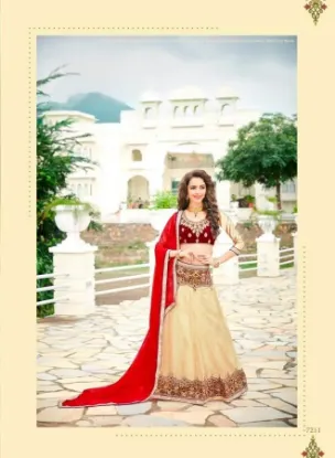 Picture of indian bollywood lehenga blouse dress designer pakistan