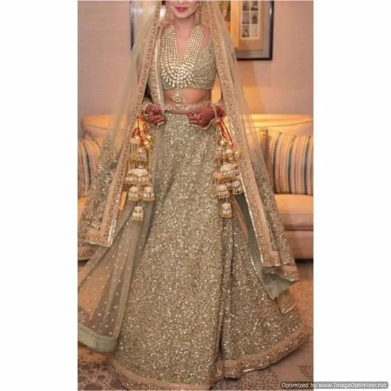 Picture of indian designer beige embroidered bollywood net wedding