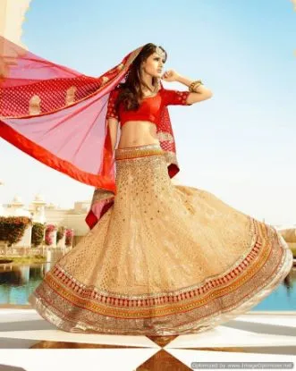 Picture of multi sequence lehenga choli with net dupatta indian d,