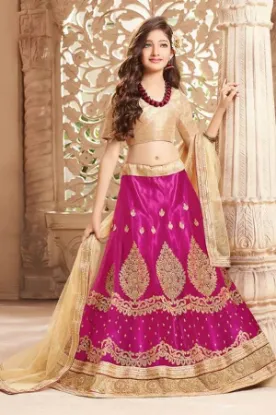 Picture of party wear lehenga on rent in bangalore,velvet jacket l