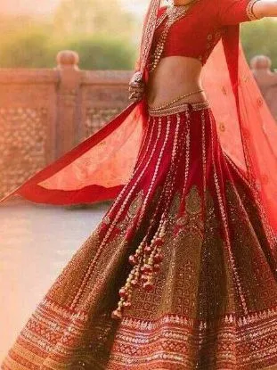 Picture of beautiful designer dress lehenga indian bollywood fancy