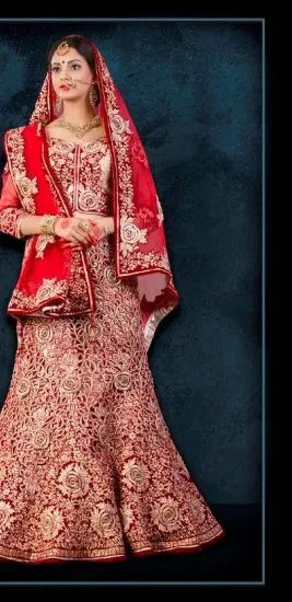 Picture of pakistani bollywood wedding lehenga choliindian designe