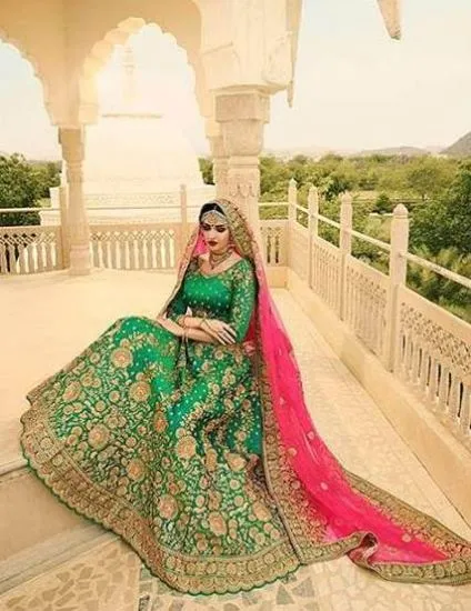 Picture of beautiful festival indian bollywood designer partywear,