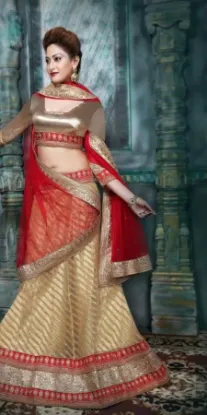 Picture of silk lehenga picschaniya choli,choli,lehenga,belly danc