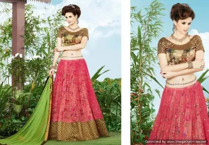 Picture of indian beautiful embrodiered hazel style designer part,