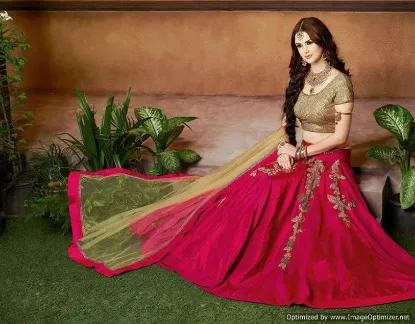 Picture of designer printed & embroidery saree party wear fashion,