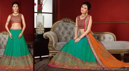 Picture of indian pakistani bollywood beautiful chanderi silk sar,