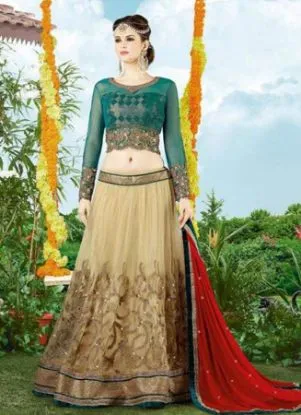 Picture of traditional partywear bollywood indian beautiful desig,