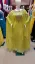 Picture of whole selling of unique design dress with dupat ,f10509