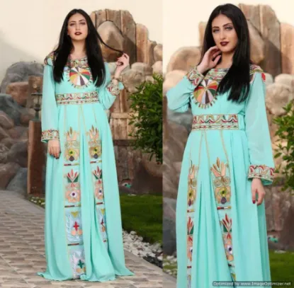 Picture of beautiful modern fancy arabian caftan wedding gown dres