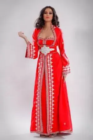 https://radhedesigner.com/images/thumbs/002/0028494_modest-maxi-gown-magenta-modern-caftan-jalabiya-jilbab_450.webp