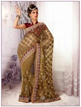 Picture of georgette saree pakistani indian designer awesome party