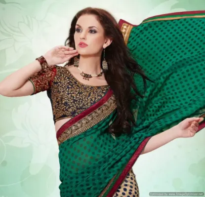 Picture of green designer zari border work bollywood sari kanjivar