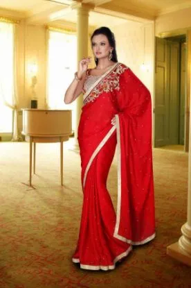 Picture of indian pink designer heavy border work bollywood sari g