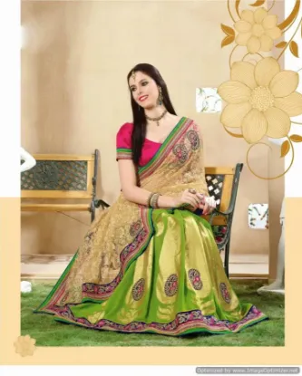 Picture of pakistani wedding party wear saree-indian bollywood de,