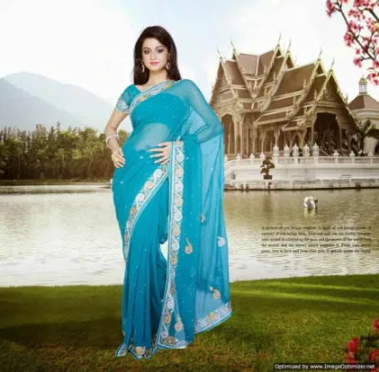 Picture of sari indian designer saree bridal modest maxi gown embr