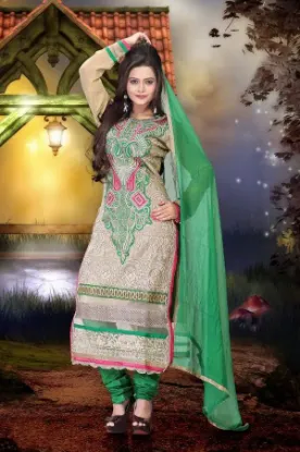 Picture of ethnic patiyala salwar kameez indian pakistani bollywoo