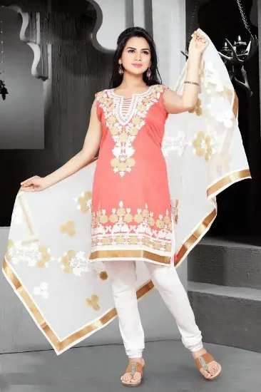 Picture of indian pakistani athnic designer chiffon embroidery sui