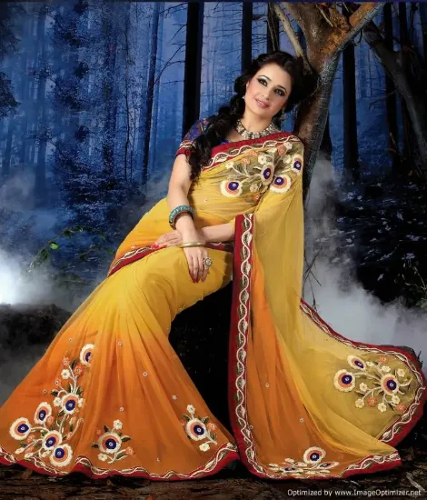 Picture of bollywood indian pakistani designer saree wedding party