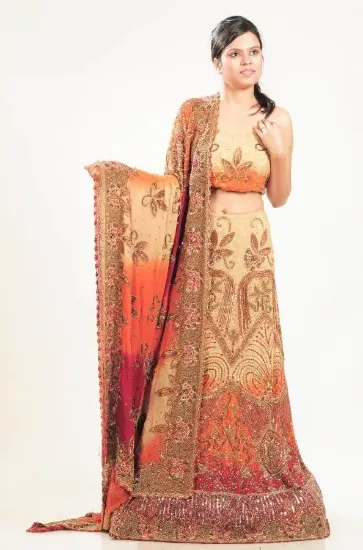 Picture of designer beige embroidered zari border bollywood style 