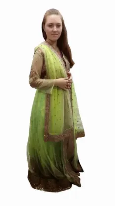 Picture of Designer Sari Partywear Bollywood Indian Wedding Tradit