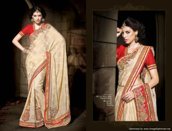 Picture of gorgeous saree beautiful thread work fancy fashion ind,