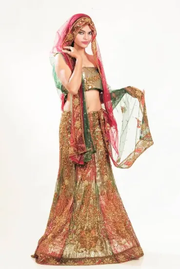 Picture of handmade bollywood sari satin silk fabric printed dress