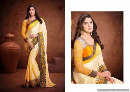 Picture of indian designer collection of traditional beautiful pa,