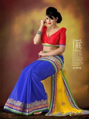 Picture of indian designer saree bollywood nice look heavy pakista