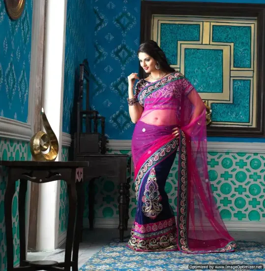 Picture of indian designer sari gajari chinon silk floral border ,