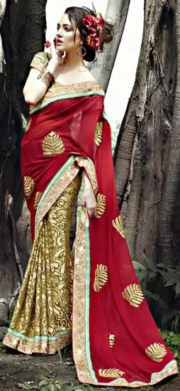 Picture of indian designer sari, bollywood sari, asian wedding par