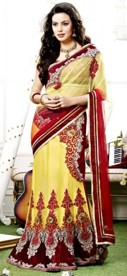 Picture of indian pakistani ethnic designer georgette and net sare