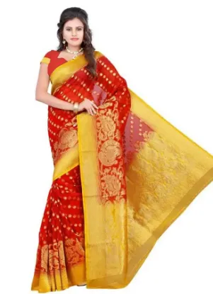 Picture of modest maxi gown ethnic saree traditional party wear aw