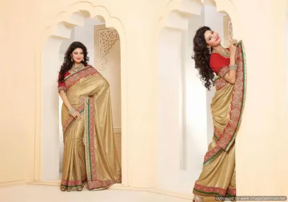 Picture of nw chiffon wedding sari saree curtain dupatta bridal dr