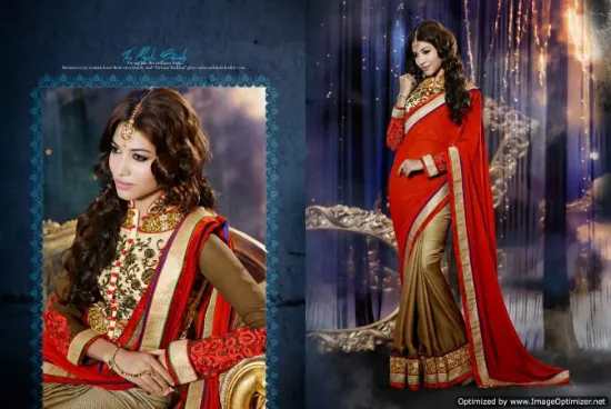 Picture of pakistani bollywood party wear sari-indian ethnic desi,